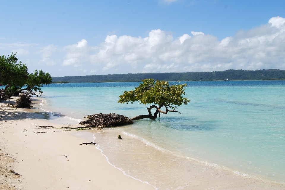 Plage mer côte eau