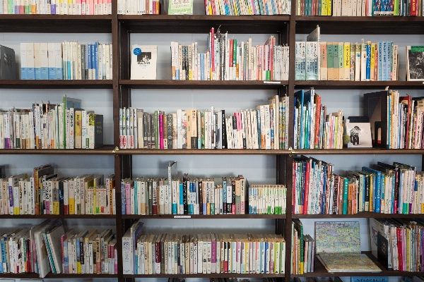 Book shelf furniture bookshelf Photo