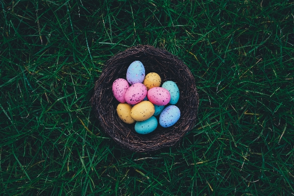 Grass food green basket Photo