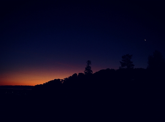 Tree horizon silhouette mountain Photo