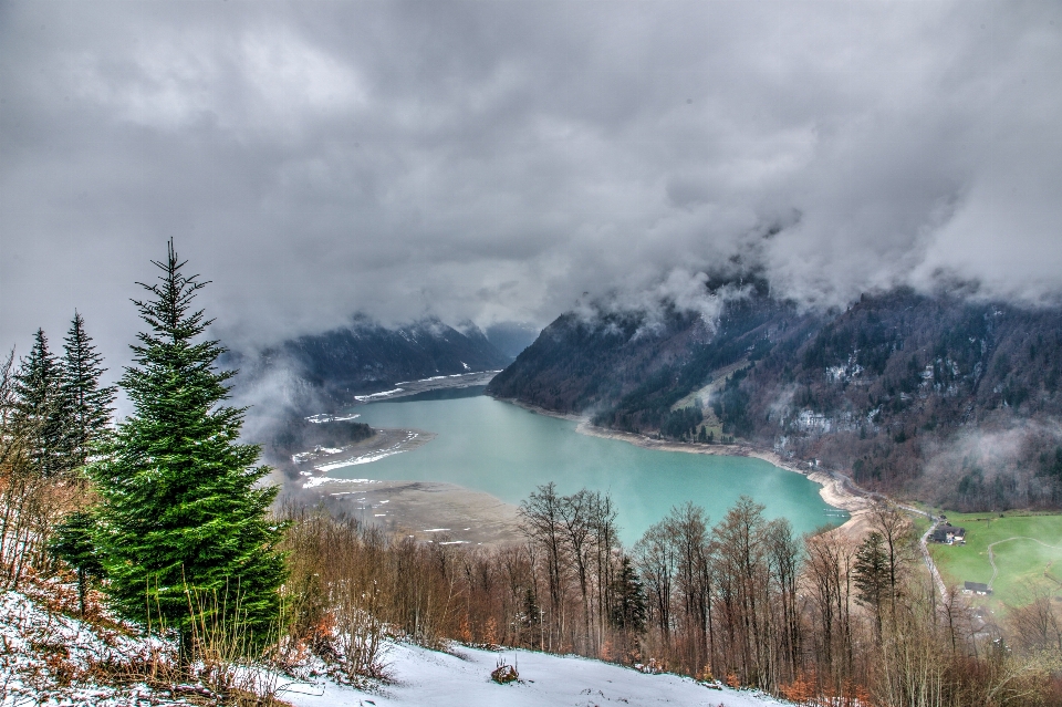 Landschaft baum wasser natur