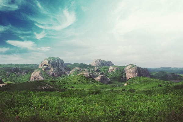 風景 自然 草 rock 写真