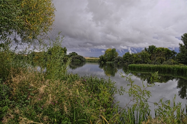 Landscape tree water nature Photo