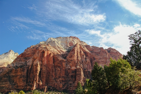 Landscape tree rock wilderness Photo