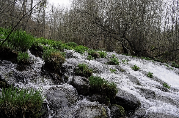 Landscape tree water nature Photo