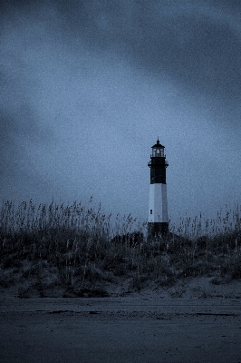 Sea coast ocean snow Photo