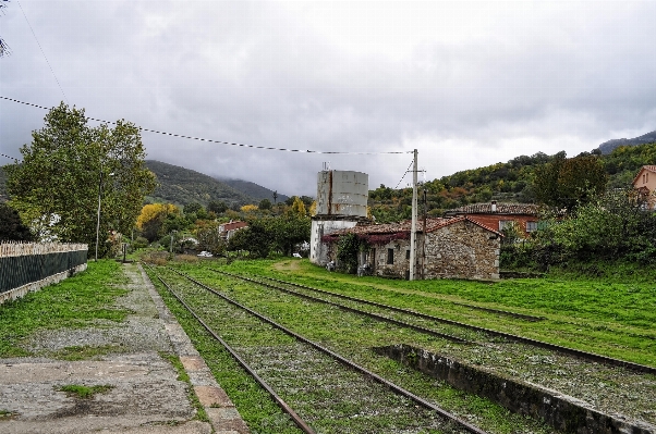 Track train transport suburb Photo