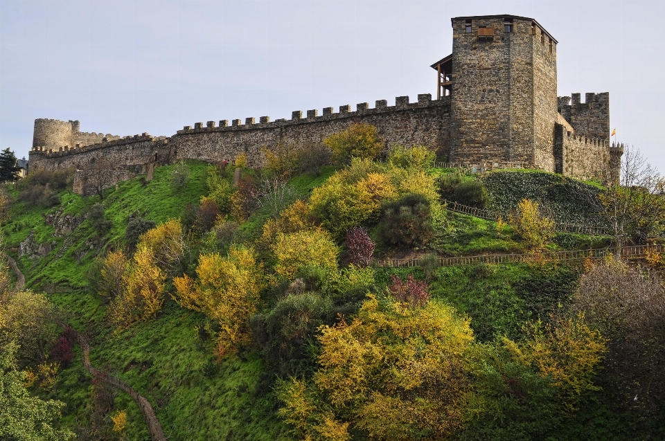 Fall flower building chateau