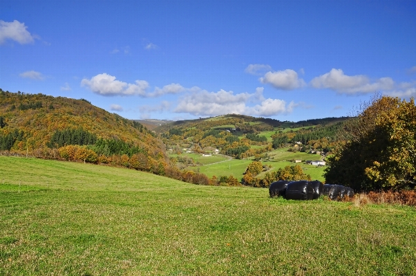 Landscape grass mountain field Photo