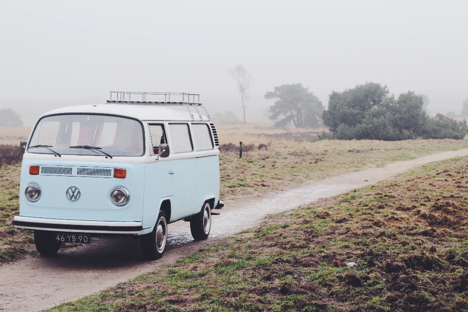 Nebel straße auto volkswagen
