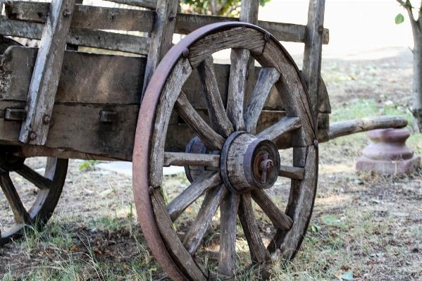 Wheel cart vehicle weapon Photo