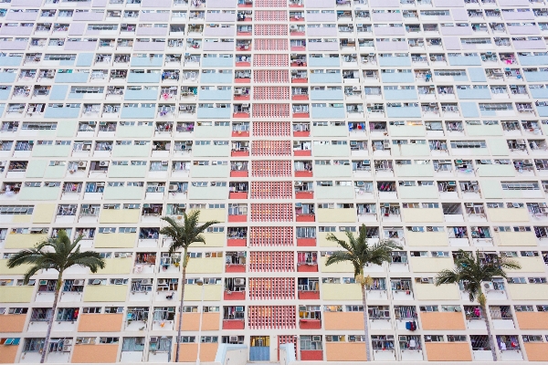 Architecture palm tree window building Photo