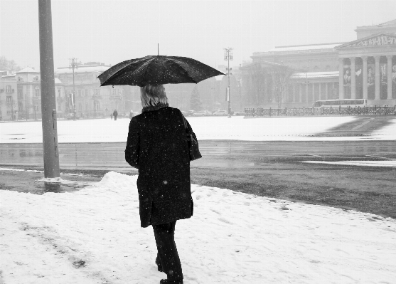 Snow winter black and white Photo