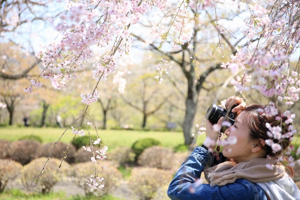 Branch blossom person plant Photo