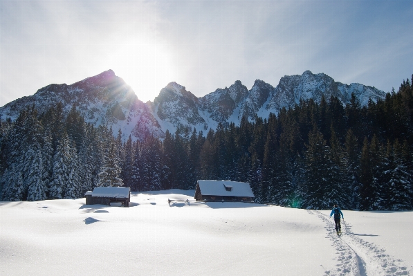 Forest mountain snow winter Photo