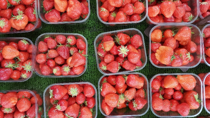 Plant fruit berry meal Photo