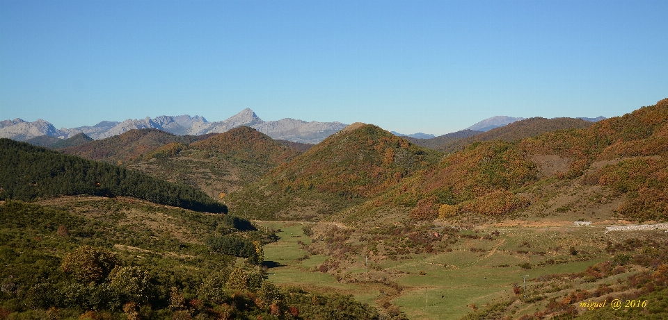 荒野
 山 トレイル 草原
