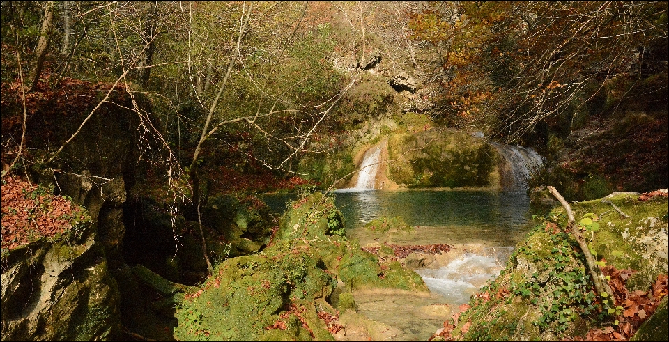 Baum wald wasserfall wildnis
