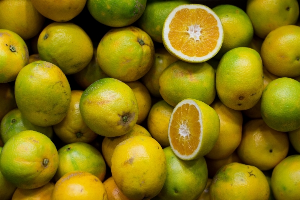 Plant fruit ripe orange Photo