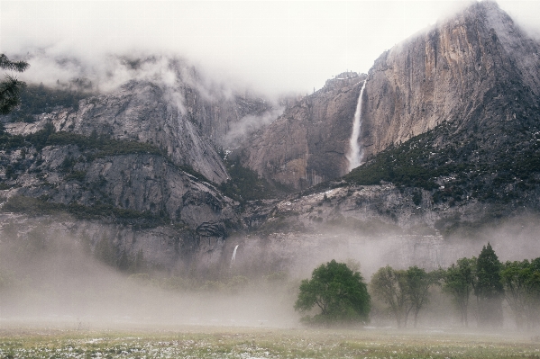 風景 木 自然 森 写真