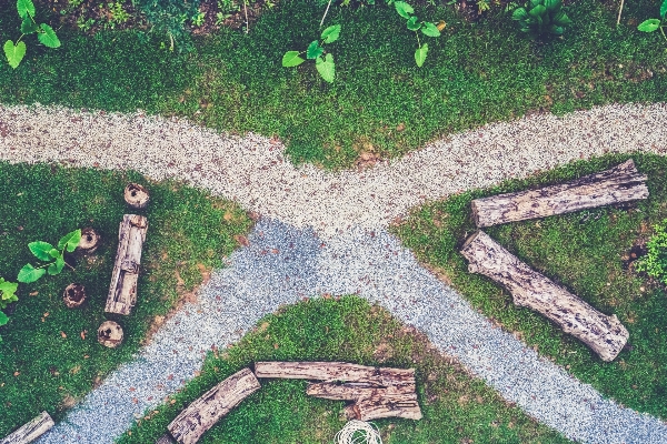 Path grass lawn sidewalk Photo