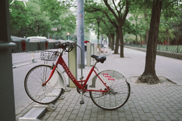 歩道
 石畳
 自転車 車両 写真