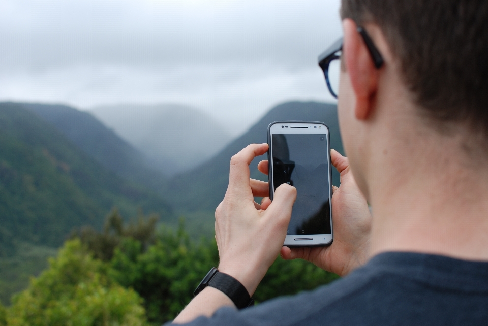 Smartphone mano albero persona