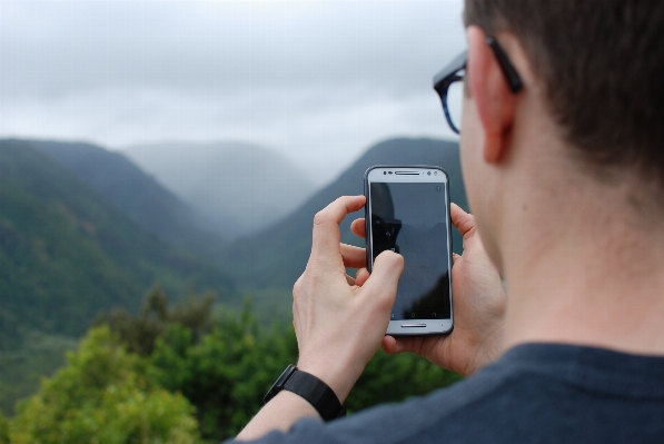 Smartphone hand tree person Photo