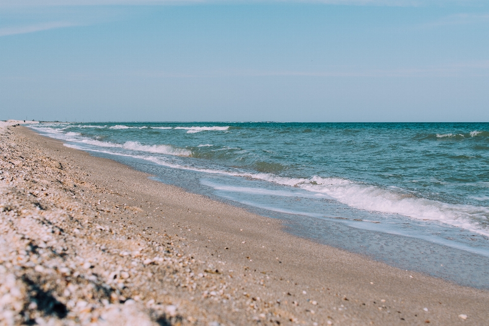 Beach sea coast water