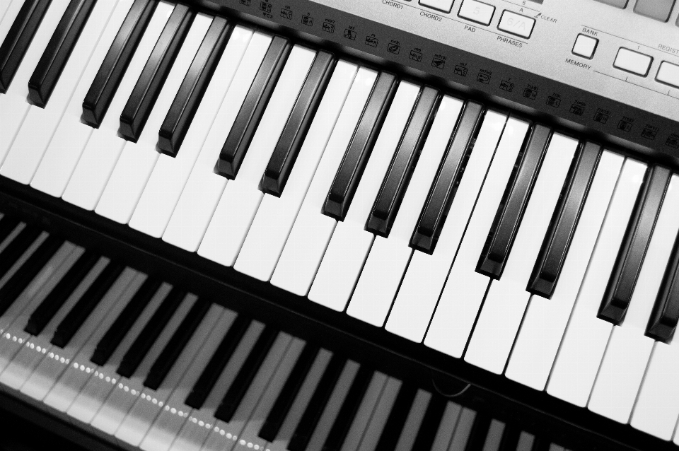 Instrumento musical piano digital
 preto e branco
