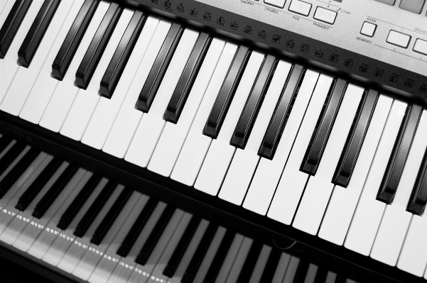 Musikinstrument klavier digitalpiano
 schwarz und weiß
 Foto