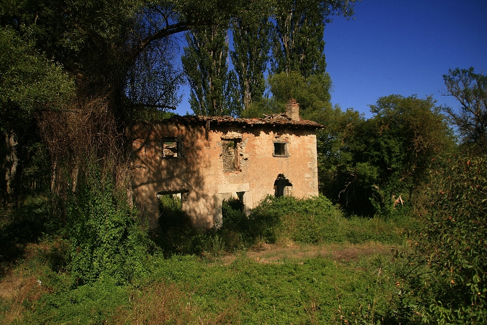 Ağaç ev bina şato
