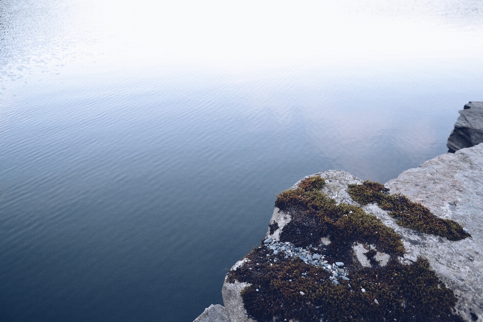 Meer küste wasser rock