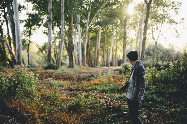 Foto árvore floresta pessoa fotógrafo