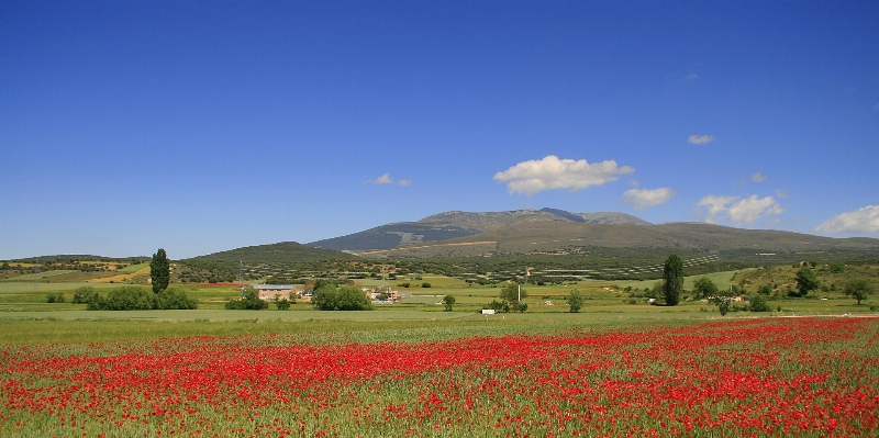 Landscape grass horizon mountain Photo