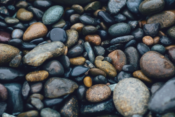 Beach rock wet stone Photo