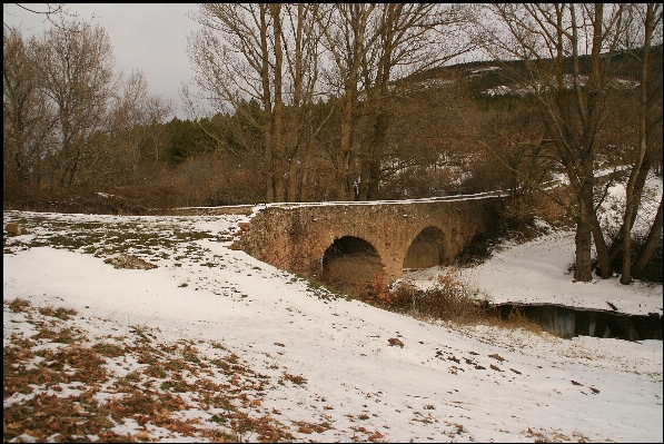 Snow winter weather season Photo