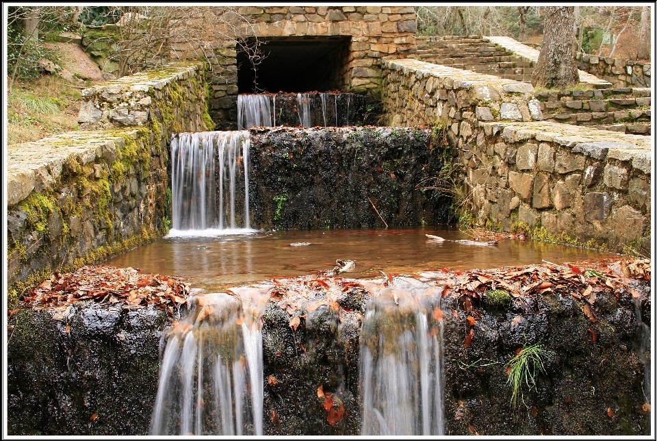 Agua cascada estanque stream