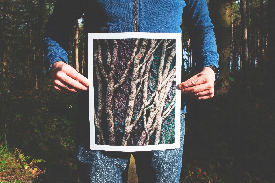 Hand tree person wood