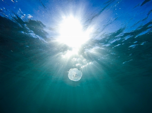 Sea water ocean horizon Photo