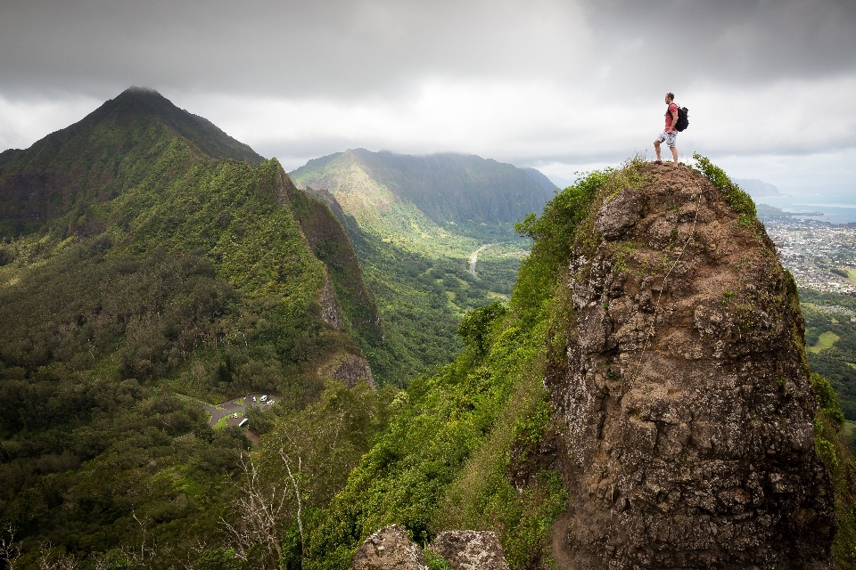 Homem paisagem árvore natureza