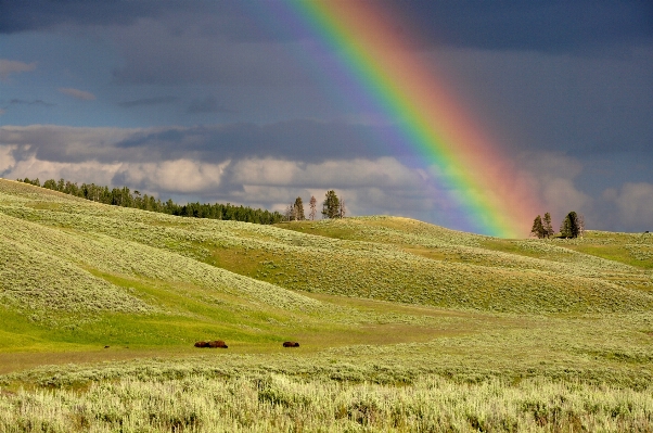 Landscape nature grass horizon Photo