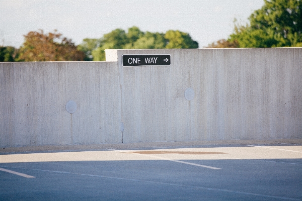 Photo Arbre bois loger parking