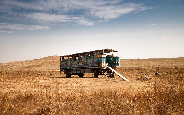 Landscape horizon field farm Photo