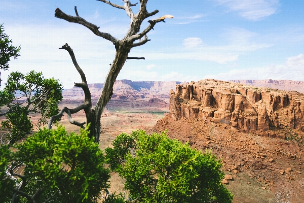 Foto Paisagem árvore rock região selvagem
