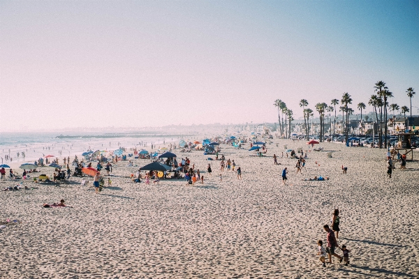 Beach sea coast sand Photo