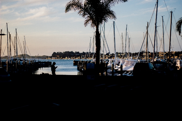 Beach sea water ocean Photo