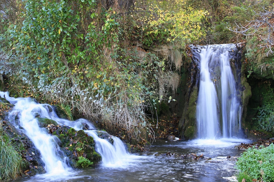 Agua bosque cascada arroyo
