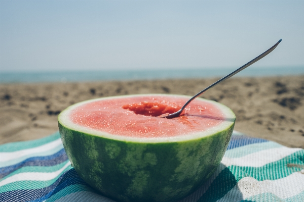 Foto Plantar fruta comida produzir