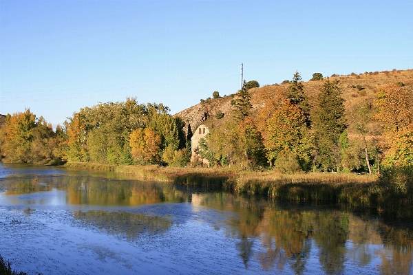 Landscape tree water nature Photo